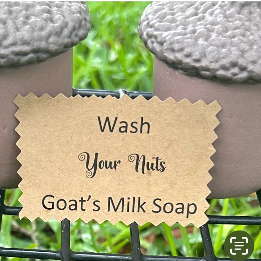 2 Nuts Caribbean Paradise Goat’s Milk Soap - Picture 2 of 4